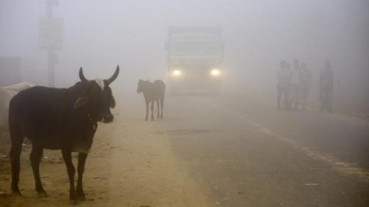 India-Pakistan - Deadly Smog